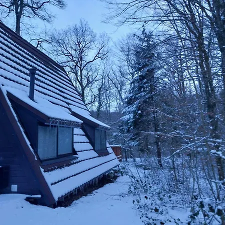 Дом отдыха 228 *